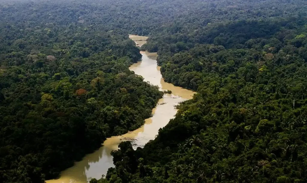 Dia da Amazônia